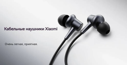 Наушники Xiaomi Wired DDQ02WM черные